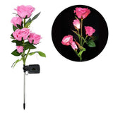 Rosa