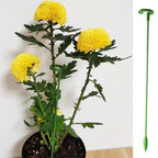Suporte Inteligente para Plantas de Jardim - GardenLift